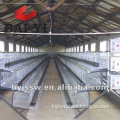 Galvanized Poultry for Chicken Layer Cage for Farm